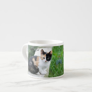 Taza De Espresso Gato Fantasma de la Ópera