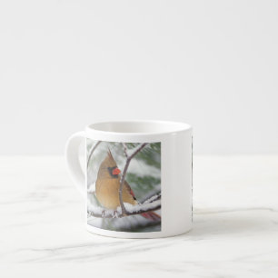Taza De Espresso Hembra de cardenal norteño en pino nevado,