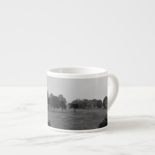 Taza De Espresso Hermosos árboles y naturaleza en la niebla