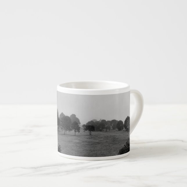 Taza De Espresso Hermosos árboles y naturaleza en la niebla (Derecha)