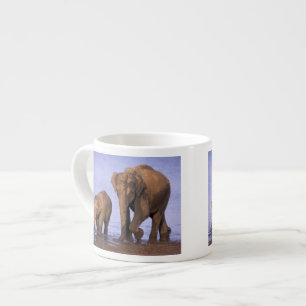 Taza De Espresso India, Parque Nacional Nagarhole. Elefante asiátic