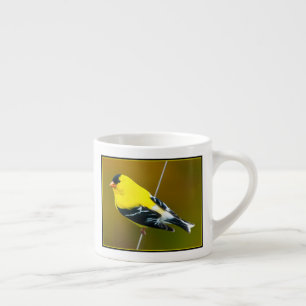 Taza De Espresso Jilguero Americano - Fotografía Original