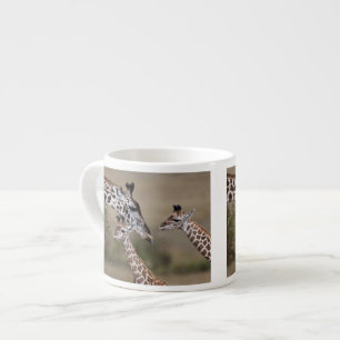 Taza De Espresso Jirafa Masái (Giraffa tippelskirchi)