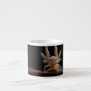 Taza De Espresso Larve con cresta del newt
