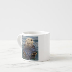 Taza De Espresso Las nutrias marinas juegan en icebergs en Surprise