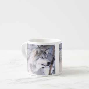 Taza De Espresso Lobo Gris, Canis lupus, Animal de Película (Utah)
