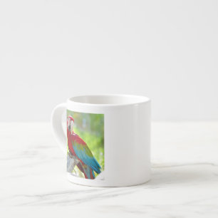 Taza De Espresso Macaw que se sienta en rama