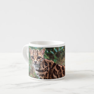 Taza De Espresso Margay, Leopardus wiedi, Nativo de México hasta