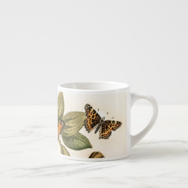 Taza De Espresso Mariposas y polillas de William Forsell Kirby (Derecha)
