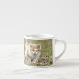 taza de espresso mascota de foto gato. taza de esp