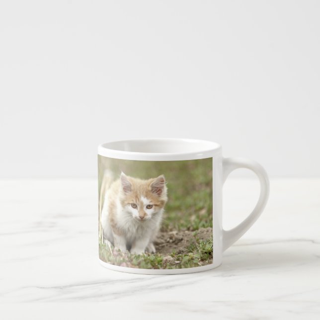 taza de espresso mascota de foto gato. taza de esp (Derecha)