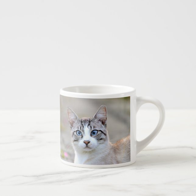 taza de espresso mascota de foto gato. taza de esp (Derecha)