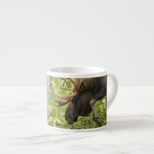 Taza De Espresso Moose de significación
