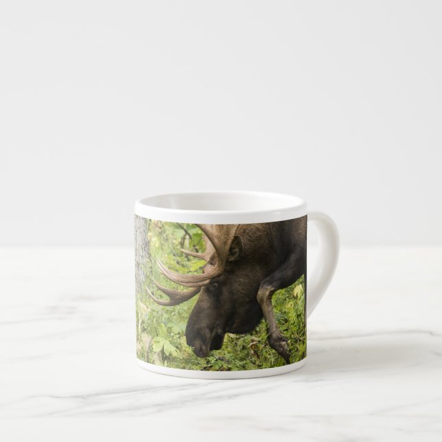 Taza De Espresso Moose de significación (Derecha)