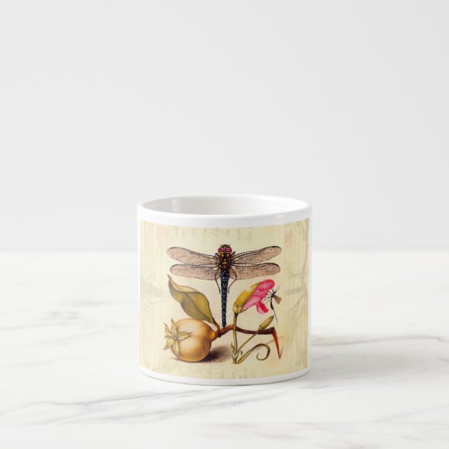 Taza De Espresso Naturaleza Botánica Libélula Fauna Hoefnagel Arte (Frente)