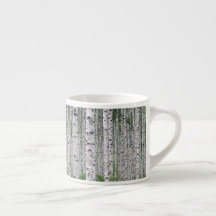Naturaleza de los bosques de árboles de aves