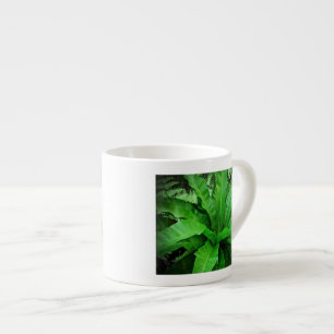 Taza De Espresso Nest Fern de pájaro