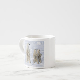 Taza De Espresso Norteamérica, Canadá, Manitoba, Churchill. 5