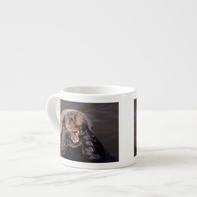 Taza De Espresso Nutrias marinas, Enhydra lutris 6 (Izquierda)