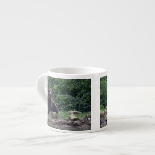 Taza De Espresso Oso de Brown
