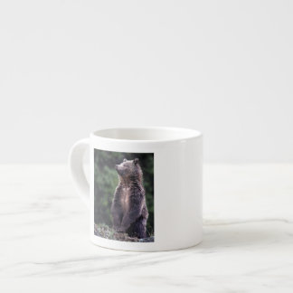 Taza De Espresso Oso grizzly derecho