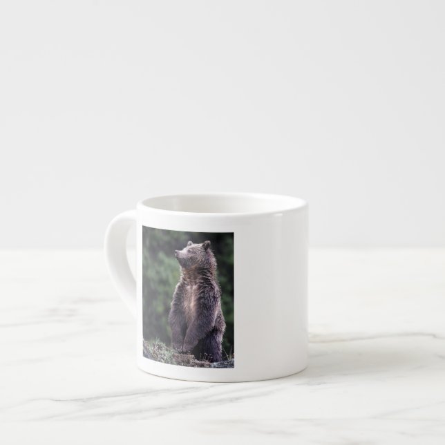 Taza De Espresso Oso grizzly derecho (Izquierda)