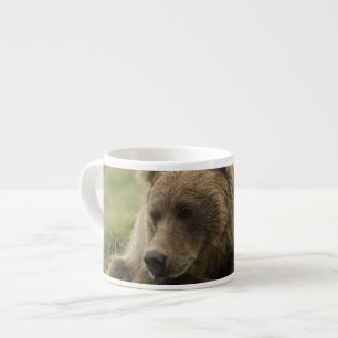 Taza De Espresso Oso pardo, o oso grizzly costero, Ursus