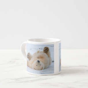 Taza De Espresso oso polar, Ursus maritimus, cachorro rodando 3