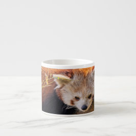 Taza De Espresso Panda rojiza perezosa