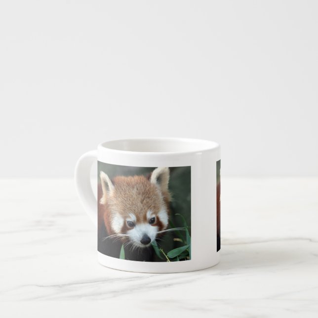 Taza De Espresso Panda rojo, Taronga Zoo, Sydney, Australia (Izquierda)