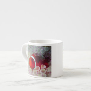 Taza De Espresso Papúa Nueva Guinea, Gran Barrera de Coral,