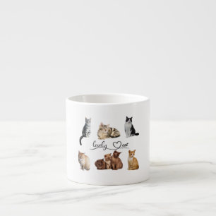 Taza De Espresso paquete de gatos, paquete de gatos divertidos