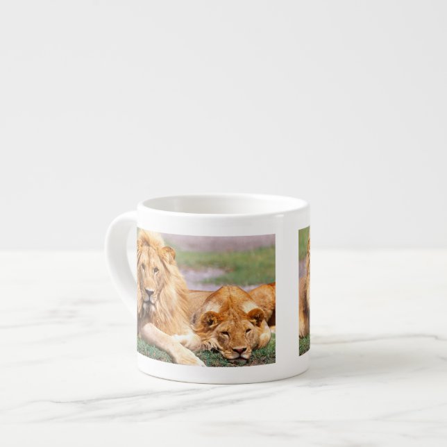 Taza De Espresso Pareja de Leones Africanos, Panthera leo, Tanzania (Izquierda)