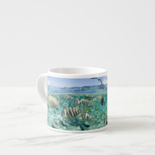 Taza De Espresso Paseo en safari por la laguna con raya látigo