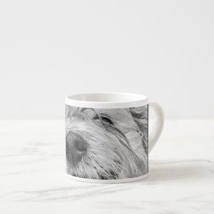 Taza De Espresso Perro Coton de Tulear