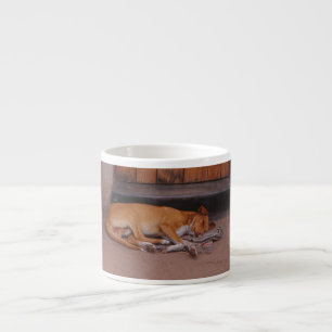 Taza De Espresso Perro en reposo