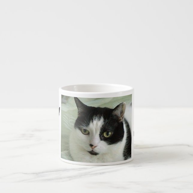 Taza De Espresso Personalizado de gato blanco y negro (Frente)