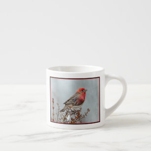 Taza De Espresso Pinzón Mexicano en la Nieve - Fotografía Original