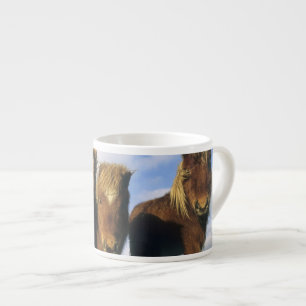 Taza De Espresso Poni de Shetland, tierra firme de las Islas Shetla