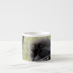 Taza De Espresso Puercoespín de árbol