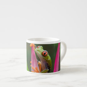 Taza De Espresso Rana de los ojos rojos, Costa Rica