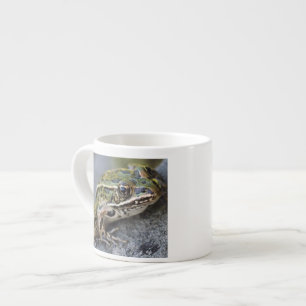 Taza De Espresso rana leopardo del norte, Isla transparente,