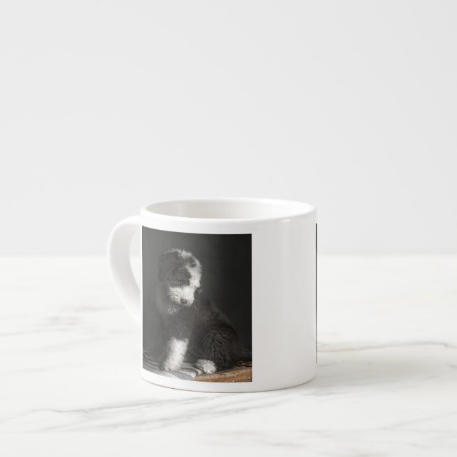Taza De Espresso Retrato Bobtail del perrito en estudio (Izquierda)