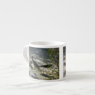 Taza De Espresso Roadrunner