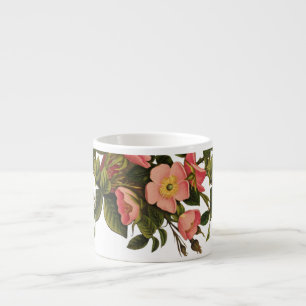 Taza De Espresso Rosas Vintage Hermosas Rosas Botánicas Rosadas