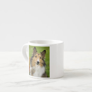 Taza De Espresso Rough Collie, perro