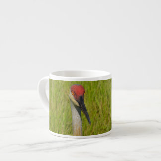 Taza De Espresso Sand Hill Crane Mirando La Cámara
