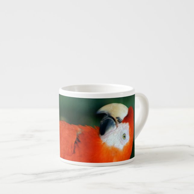 Taza De Espresso Scarlet Macaw (Derecha)