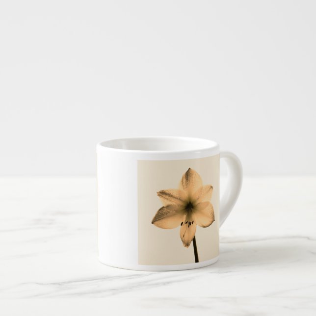 Taza De Espresso sepia amaryllis (Derecha)