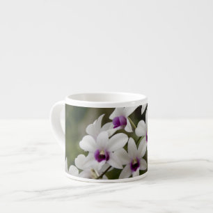 Taza De Espresso Singapur (sánscrito para Ciudad León). Nacional 2